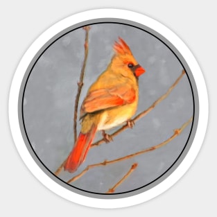 Cardinal on Branch Sticker